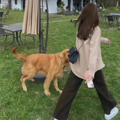 偷窥至亲